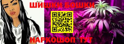 скорость Будённовск