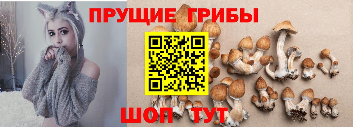 Галлюциногенные грибы прущие грибы  Псилоцибиновые грибы ЛСД  Сокол  Вход с VPN 